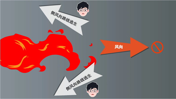 【動畫】森林草原防火“十不準(zhǔn)”“五不燒”！這些安全知識要牢記